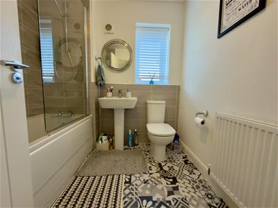 Picture 20